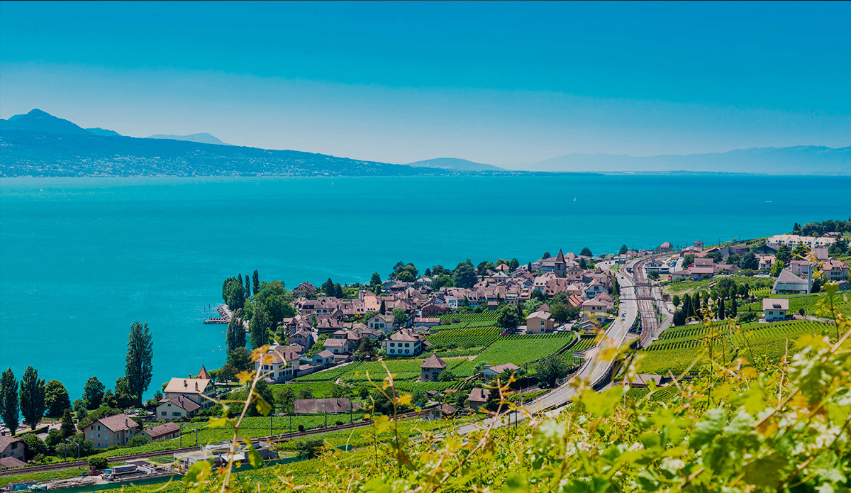 vaud detail